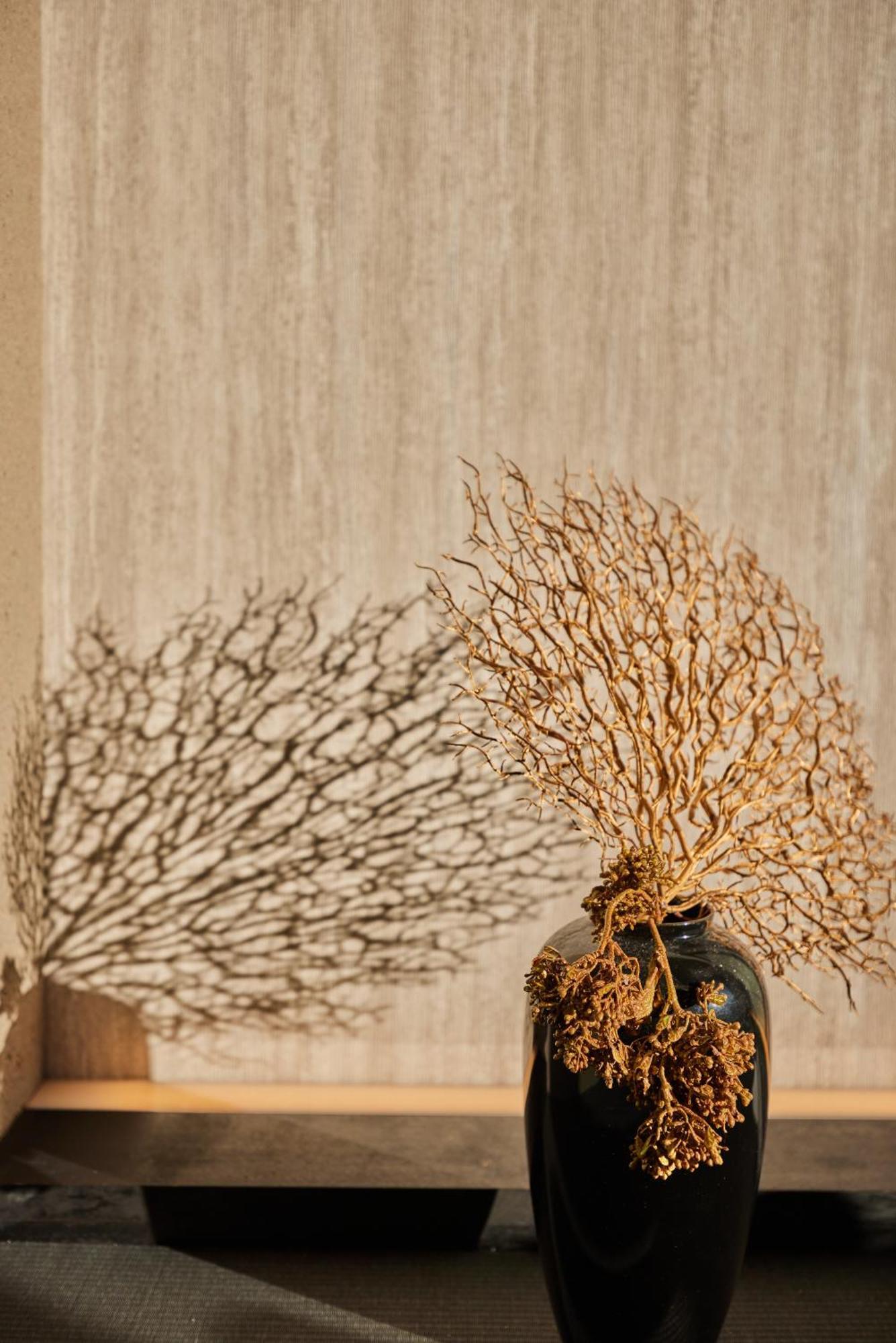 Hakuba Hibiku Chalet By Jade Group Eksteriør bilde